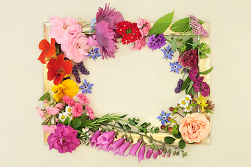 Image showing Summer Flowers and Herbs for Natural Herbal Remedies