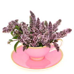 Image showing Peppermint Flower Leaf Tea in Pink Teacup