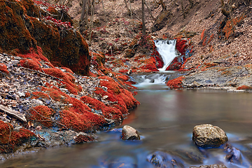 Image showing beautiful colors of autumn on mountain river