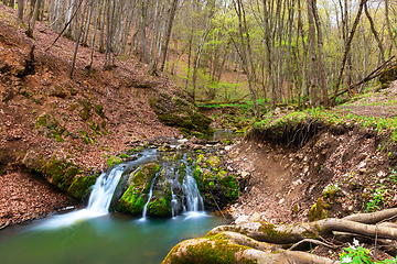 Image showing beautiful waterfall in Apuseni mountains