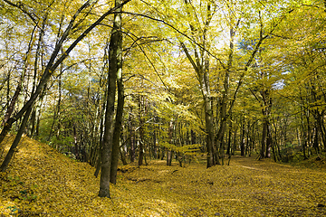 Image showing landscape of beautiful real nature