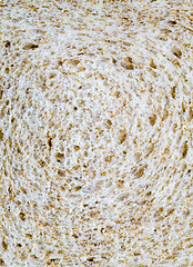 Image showing bread for making sandwiches