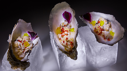 Image showing Fresh Oyster salad on the half shells.