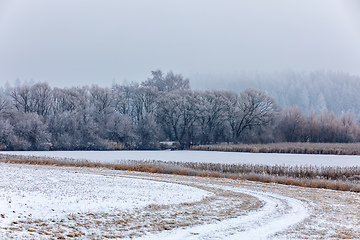 Image showing Winter landscape covered with snow