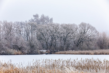 Image showing Winter landscape covered with snow