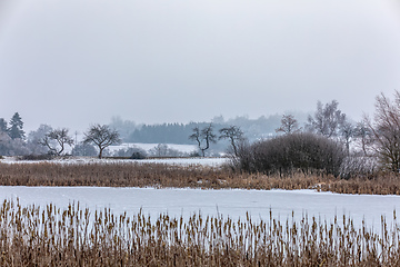 Image showing Winter landscape covered with snow