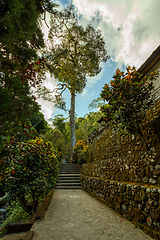 Image showing trails around royal tombs at Gunung Kawi Indonesia