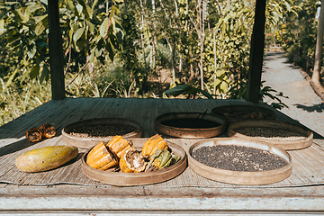 Image showing Ripe Indonesia cocoa setup on rustic wooden table