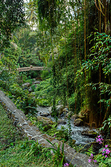 Image showing trails around royal tombs at Gunung Kawi Indonesia