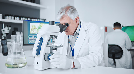 Image showing Microscope, pharmacy and research with old man in laboratory for science, medical and vaccine. Chemistry, healthcare and medicine with scientist and study for solution, development and sample results