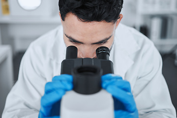 Image showing Microscope, science and medical with man in laboratory for pharmacy, research and vaccine. Chemistry, healthcare and medicine with scientist and study for solution, development and sample results