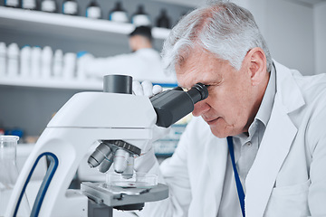 Image showing Microscope, medical and research with old man in laboratory for pharmacy, science and vaccine. Chemistry, healthcare and medicine with scientist and study for solution, development and sample results