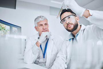 Image showing Laboratory, science team and man with test tube checking results of medical study for pharmaceutical research. Healthcare, experiment and senior scientist in lab with intern for vaccine development.