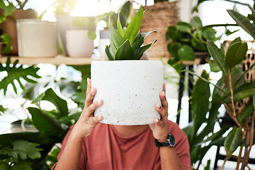 Image showing Garden, plant and woman with a cactus in house for growth, development and care for plants, leaves and sunshine in greenhouse. Gardening, person and holding an aloe houseplant in a ceramic pot