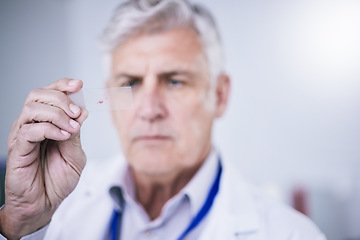 Image showing Test, microscope slide and man with research, medical and sample with discovery, blood and laboratory. Male person, researcher and scientist with data analysis, dna testing and healthcare study with