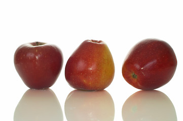 Image showing Big apples