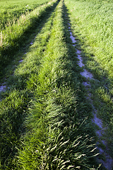 Image showing road tracks