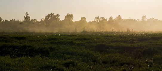 Image showing fog in nature