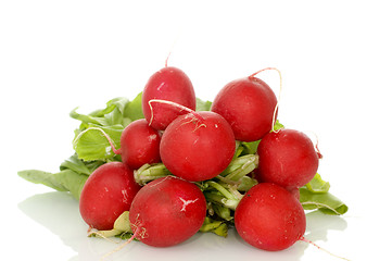 Image showing Radish