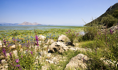 Image showing a large lake