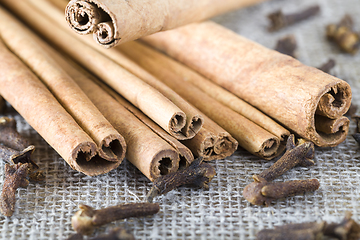 Image showing cinnamon with clove flowers