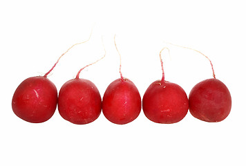 Image showing Radish