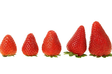 Image showing Fresh strawberry