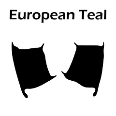 Image showing European Teal Footprint