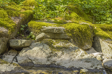 Image showing mossy overgrown rock formation