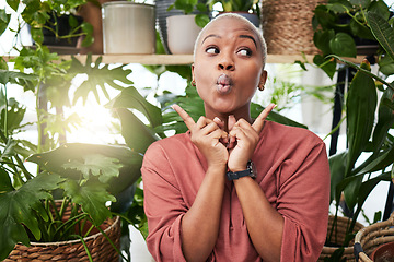 Image showing Black woman, silly face and green house plant with comedy feeling happy feeling shy. African female person, girl and crazy with hand sign and funny pout with comic confidence and greenery with joke