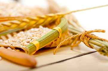 Image showing organic wheat grains