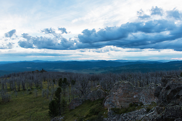 Image showing Landscape with dead forest