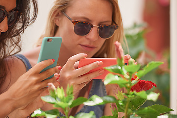 Image showing Phone, social media and women on holiday with flower photography and online on vacation. Young female person, mobile and freedom with nature photo in a city outdoor with hibiscus and friends