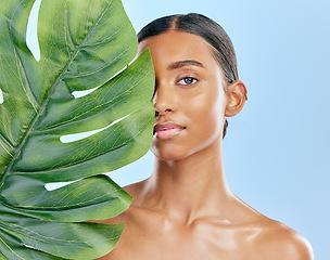 Image showing Skincare, plant and portrait of a woman on a blue background for skincare, wellness and beauty glow. Ecology, dermatology and an Indian girl or model with a leaf isolated on a studio backdrop