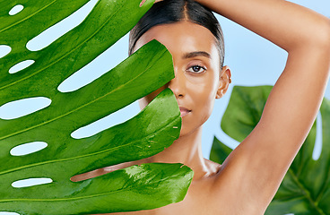 Image showing Cosmetics, leaf and portrait of a woman on a blue background for skincare, wellness and beauty glow. Ecology, dermatology and an Indian girl or model with a plant isolated on a studio backdrop