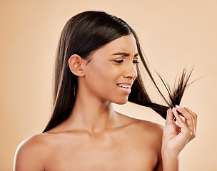 Image showing Woman, worry and split end in studio, background and beauty concern of hair loss, problem and damage. Stress, face and indian female model check tips for haircare treatment to repair dry texture