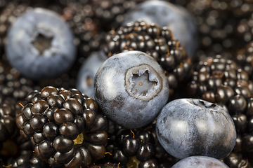 Image showing blueberry and blackberries