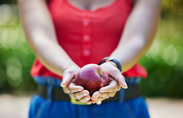 Image showing Woman, hands and apple for food diet, natural nutrition or health and wellness in nature outdoors. Closeup of female person holding organic fruit in palm for sustainability, vitamin or fiber meal