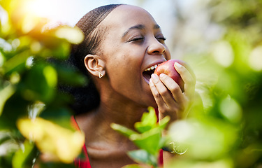 Image showing Apple, healthy and black woman biting or eating a fruit on a orchard farm with fresh produce in summer and smile. Happy, nutrition and young female person on an organic diet for sustainability