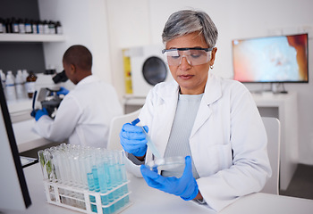 Image showing Science, research and a woman with a test in a lab for medicine, healthcare analytics and check. Medical, futuristic and a mature scientist studying a liquid or blood for professional results