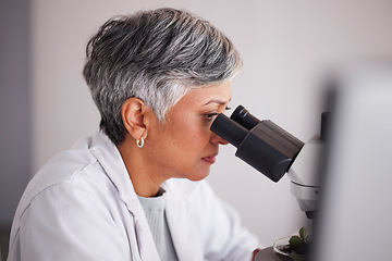 Image showing Senior scientist, woman and microscope, analysis of data and medical research, profile and experiment. DNA sample, assessment and investigation with female doctor in lab, science study and biotech