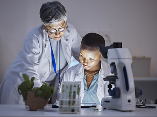 Image showing Scientist, team with women in lab and plant, ecology and check data results on tablet, eco and medical research. Female people, scientific collaboration and study, analysis and environmental science