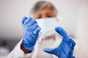 Image showing Hands, petri dish and scientist with DNA sample, science experiment and medical research, chemical and pipette. Biotech, closeup and scientific data study, person and chemistry with particles in lab