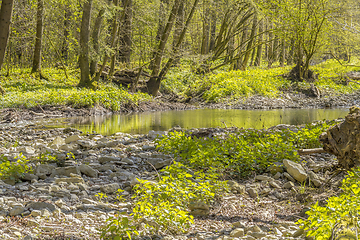 Image showing waterside scenery at spring time