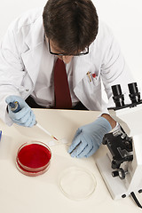 Image showing Scientist or researcher preparing a slide