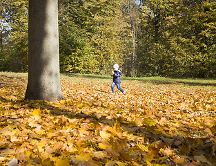 Image showing boy walks in the autumn Park
