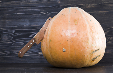 Image showing ripe pumpkin on the kitchen