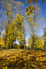 Image showing autumn landscape