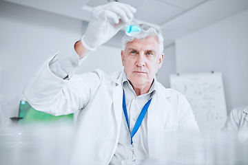 Image showing Laboratory, scientist with liquid solution checking results of medical study and pharmaceutical research. Healthcare, experiment and senior man in lab studying vaccine development or drugs for future