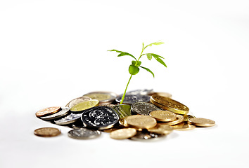 Image showing Money, savings and a plant for growth of cash, financial wealth and change on a white background. Studio, future and plants with coin for investment, banking or finance progress for banking and loan